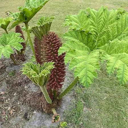 Solhoj - A Nice Quite Place Just Outside Billund