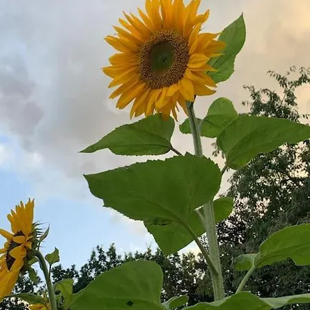 Solhoj - A Nice Quite Place Just Outside Сasa de vacaciones