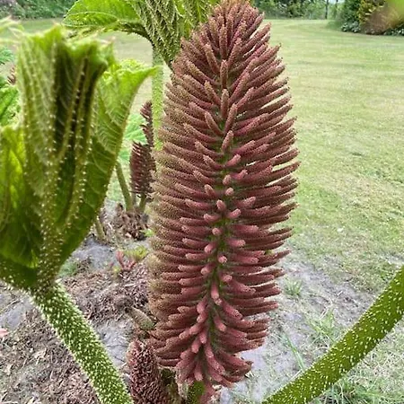 Solhoj - A Nice Quite Place Just Outside Billund