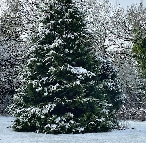 Solhoj - A Nice Quite Place Just Outside Сasa de vacaciones Billund