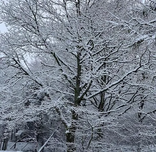 Solhoj - A Nice Quite Place Just Outside