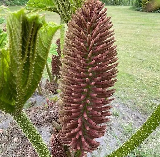 Solhoj - A Nice Quite Place Just Outside Billund